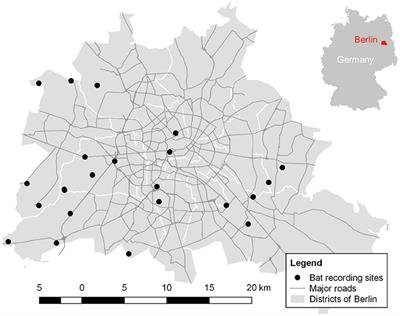 Tree Cover Mediates the Effect of Artificial Light on Urban Bats